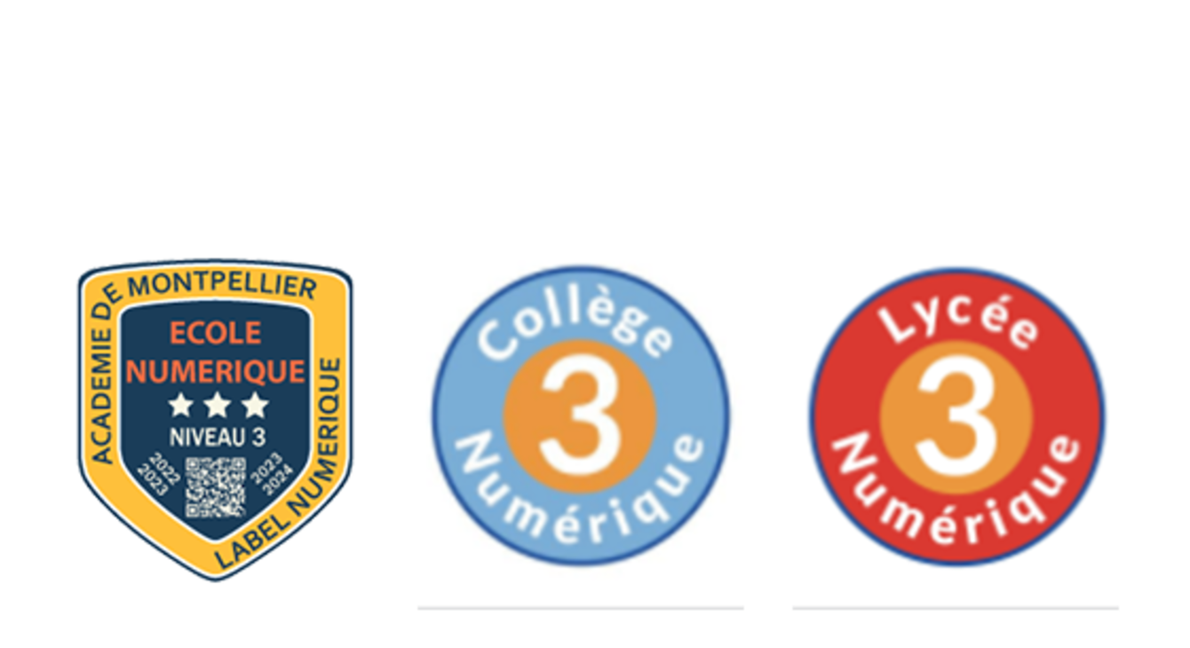 Différents labels de niveau 3 (école, collège, lycée)