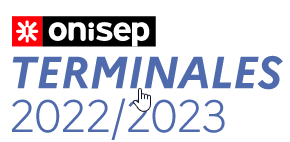 terminales 22 23