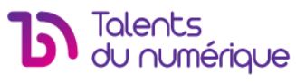 Logo Talents du Numérique