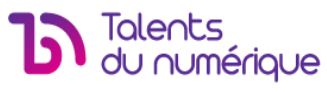 Logo Talents du Numérique