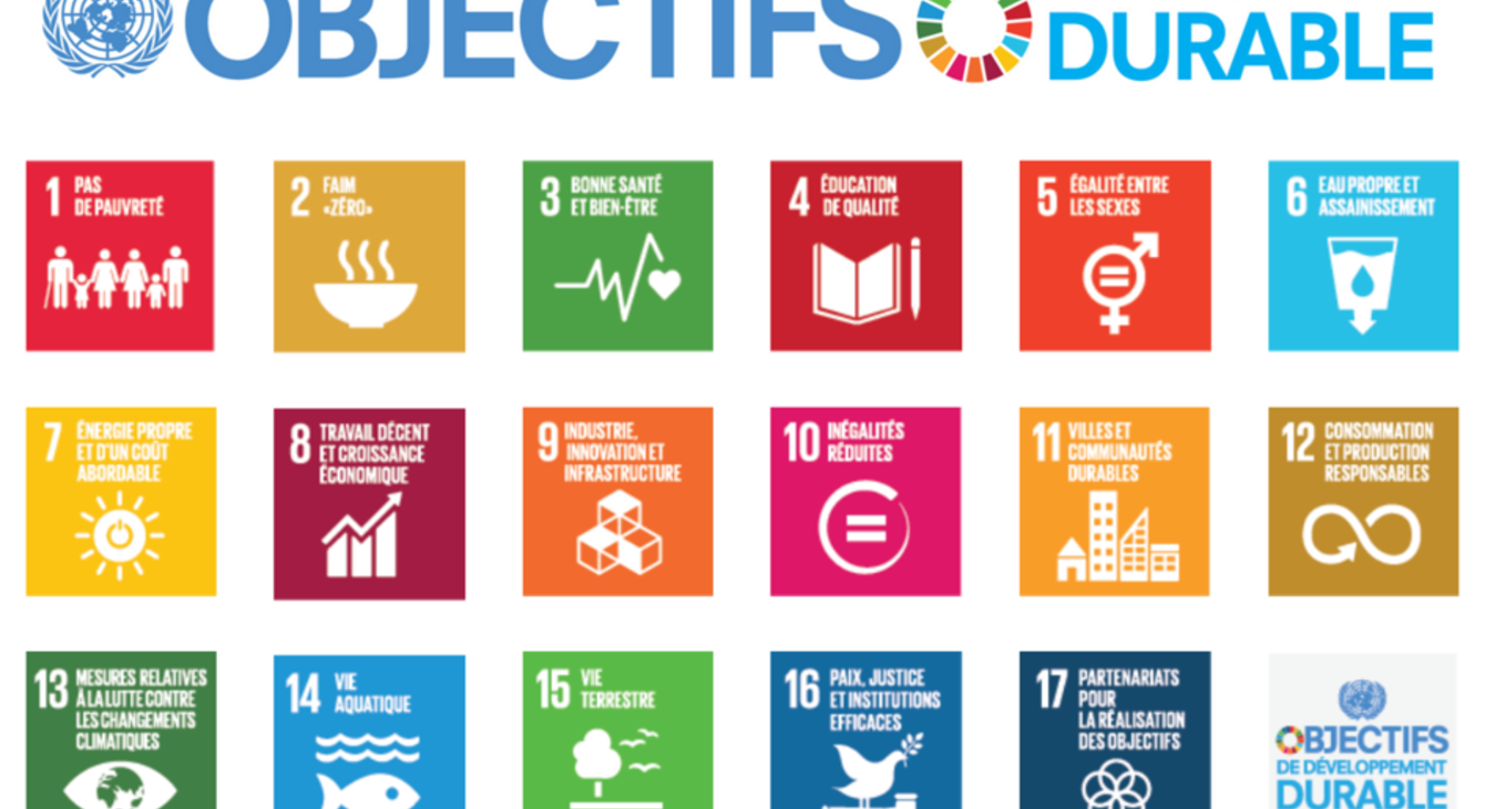 Visuel objectifs de développement durable de l'ONU