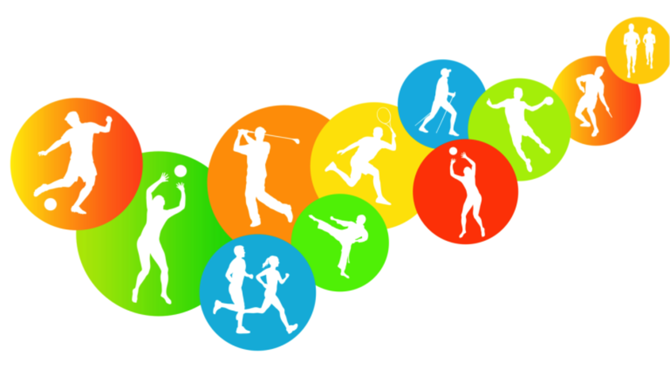 Tout pour le sport new arrivals