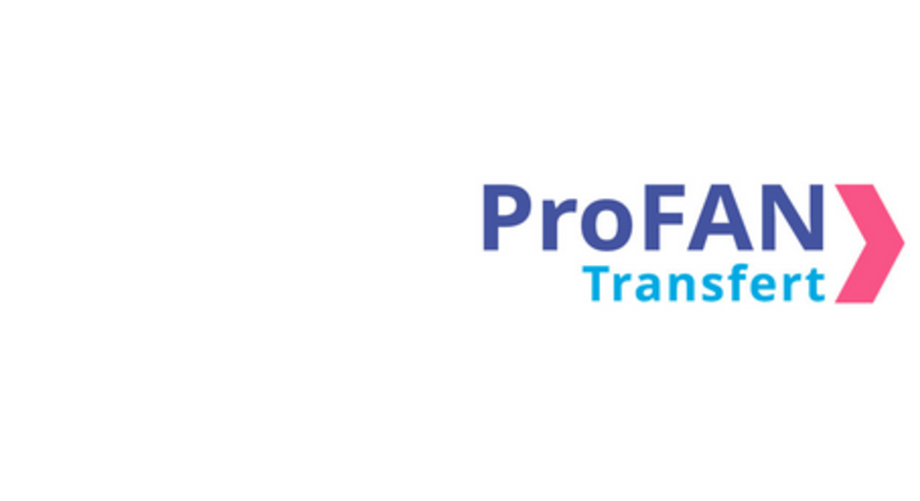 Logo Profan transfert