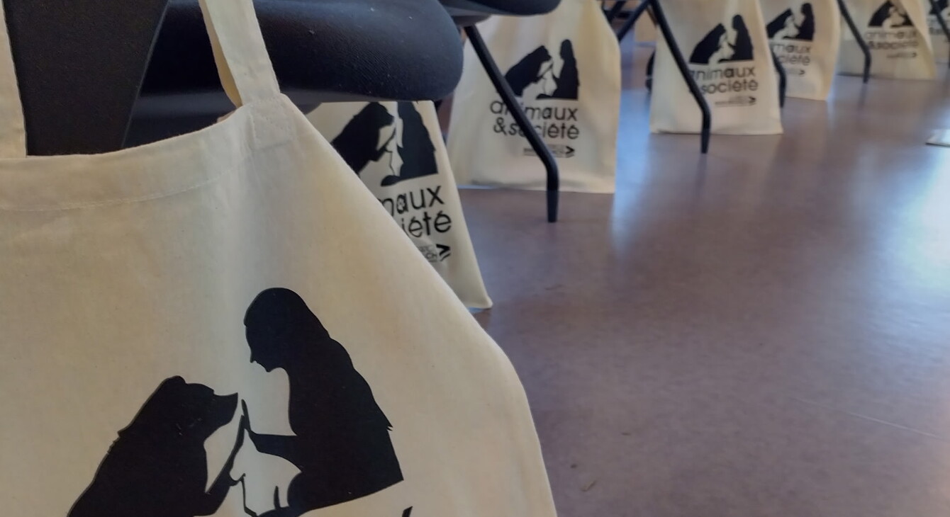 CARDIE Journée Médiation animale Alsace février 2026