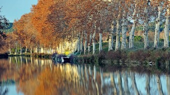 visuel canal du midi