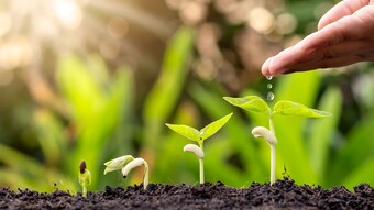 Croissance de plantes