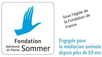 © PNG _ Fondation Adrienne et Pierre SOMMER - LOGO 2024.png
