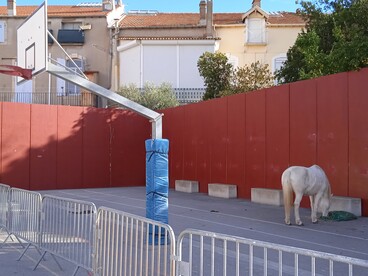 CARDIE- Cheval dans une cours de collège