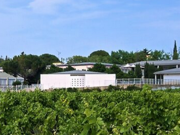 CARDIE MAI 2025 banière collège Poussan.png