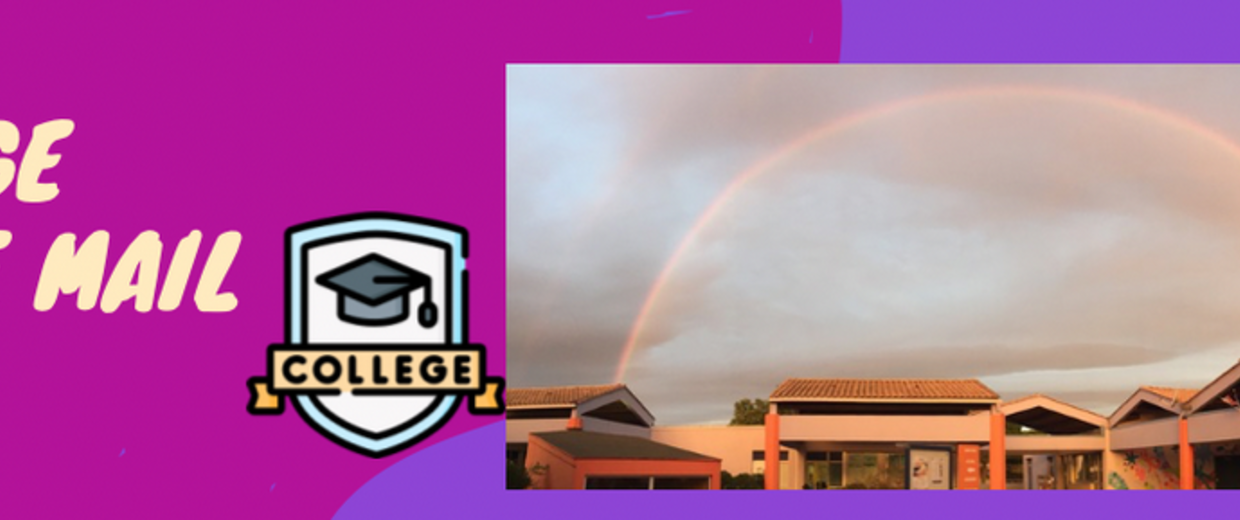 CARDIE MAI 2025 Capture écran ENT COLLEGE JEU DE MAIL