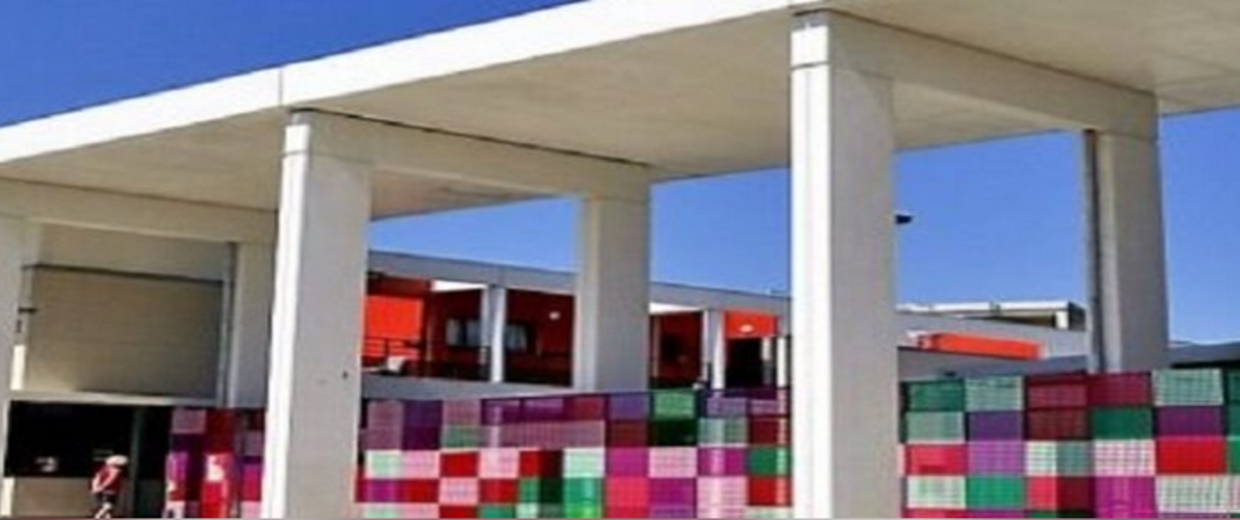 Screenshot 2025-05-09 at 18-04-40 LYCEE LOUIS FEUILLADE.png